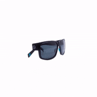 Sunglasses Swag GIF by The Float Life