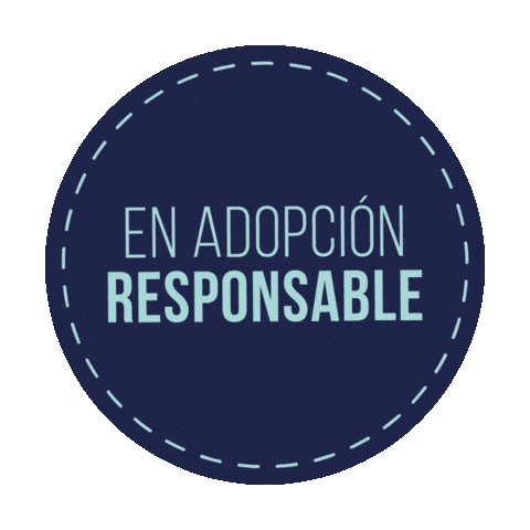 gatitosenaccion Sticker