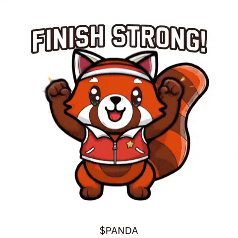 Red Panda Win GIF by PandaMania