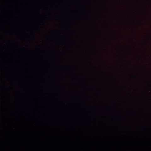 Vampire Queen Horror GIF by Universal Destinations & Experiences