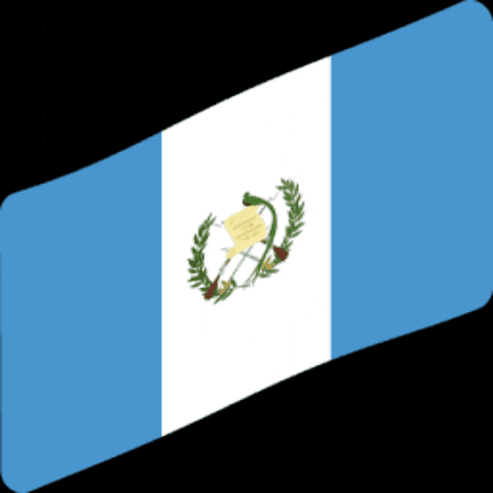 Guatemala Bandera GIF by Común