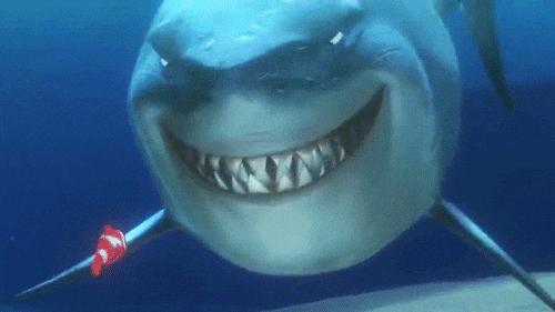Great-white-shark-comics GIFs - Get the best GIF on GIPHY