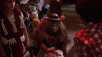 Et Un Dauphin Gifs Get The Best Gif On Giphy Et Un Dauphin Gifs Get The Best Gif On Giphy
