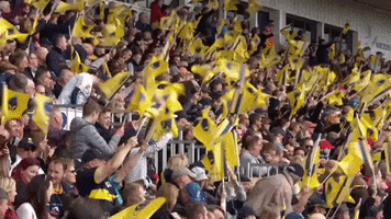 fans flags GIF by Worcester Warriors
