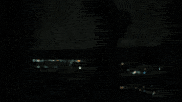 Money Flexing GIF by SLANG