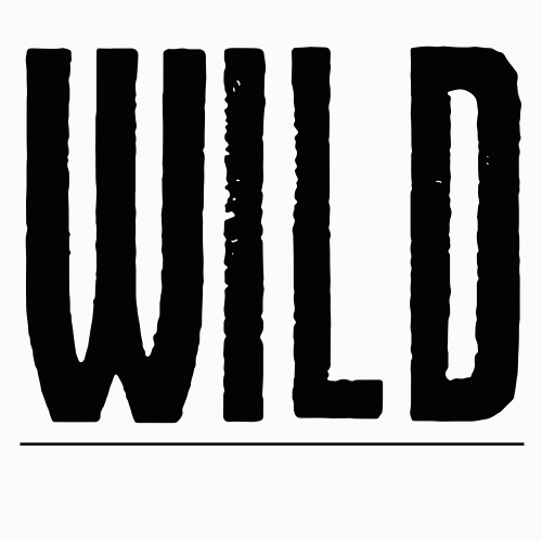 WILD surf and skate lovers GIF