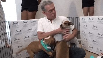 on air dog GIF by Elvis Duran Show