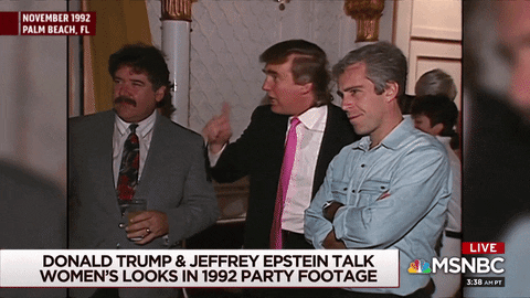 Jeffrey Epstein Trump GIF - Find & Share on GIPHY