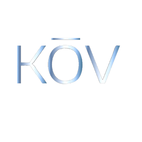 Buena Vista Logo Sticker by The KOV