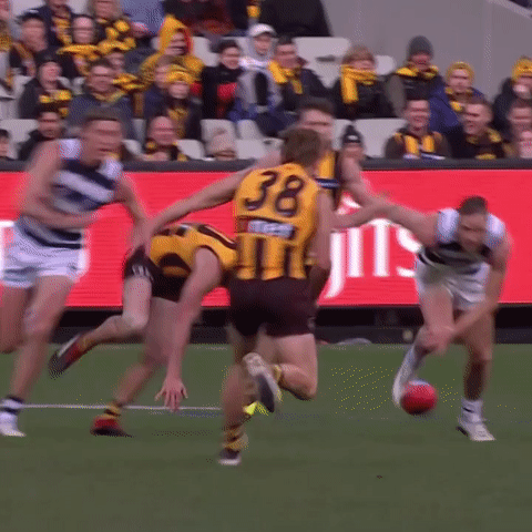 spin hawks GIF by AFL