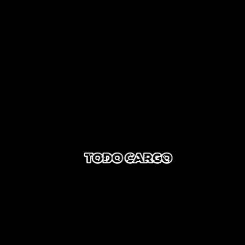 Miami Florida GIF by Todo Cargo Inc.