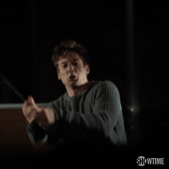 Smash Season 6 GIF by Shameless