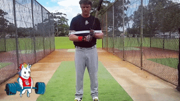 home run baseball GIF by Laser Power Swing Trainer
