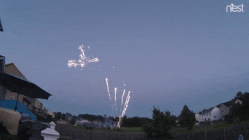 Nest Cam Win GIF by Nest