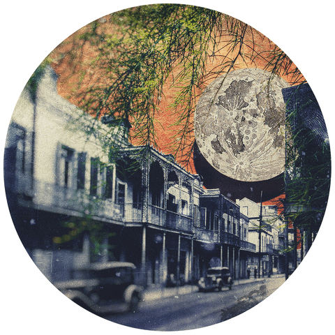 New Orleans Vintage GIF by Robert Matejcek