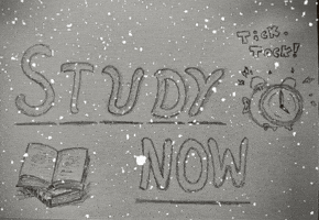 Drawing Study Now GIF