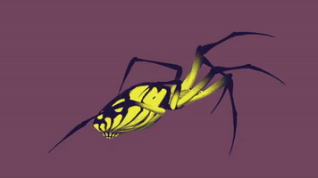 200.gif?cid=fc005b0848f72772698ca3591b4162d02614287fa4443e29&rid=200.gif&ct=g