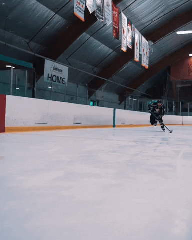 skating hockey player GIF by Hockey Training