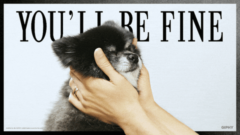 motivational puppy gif