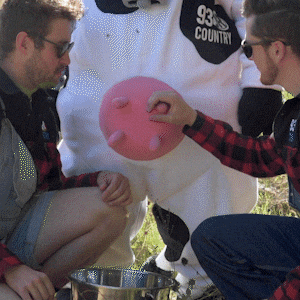 Jim Pattison Broadcast Group GIF