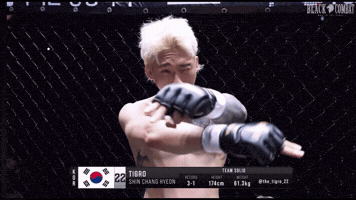 Blackcombat GIF