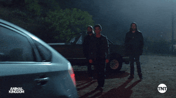 S5 GIF by Animal Kingdom on TNT