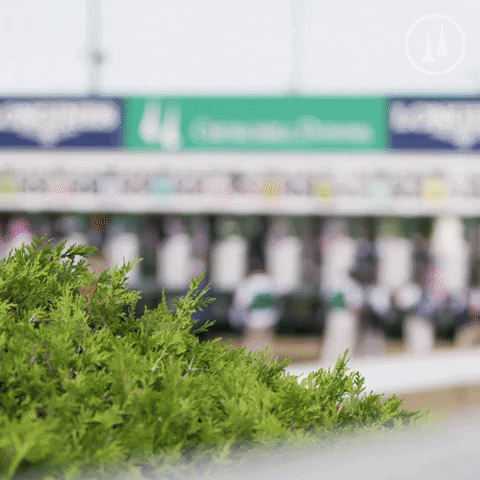 TwinSpires GIF