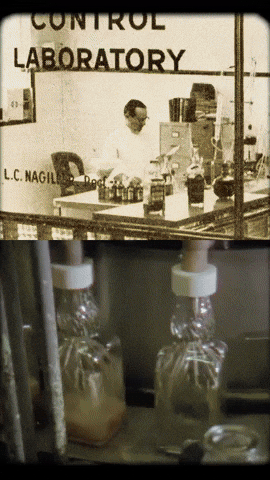 Old Fashioned Vintage GIF by slowandlow