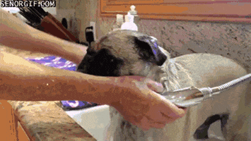 200.gif