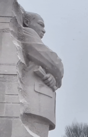 Martin Luther King Jr Snow GIF by Storyful