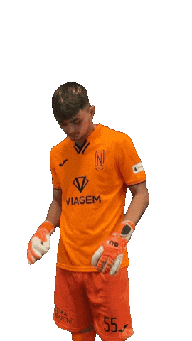 Fkviagem Sticker by Florbal Ústí