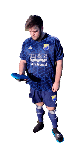 Football Reaction Sticker by Velgaster Sv