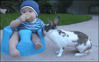 Baby Stealing GIF
