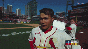 St Louis Cardinals Win GIF by MLB