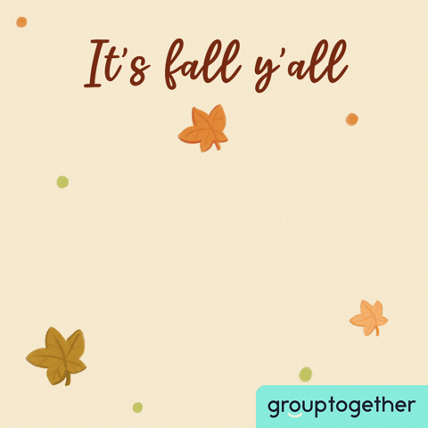Happy Its Fall GIF by GroupTogether