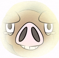 Pokemon Shining GIF