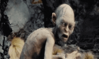 lord of the rings moi GIF