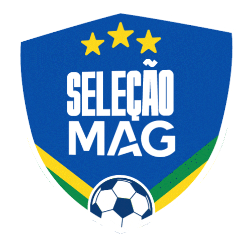 Copa Do Mundo Sticker by MAG Seguros