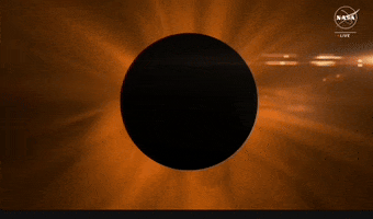 Solar Eclipse GIF by NASA