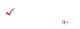 Hana Maori Sticker by MāoriParty