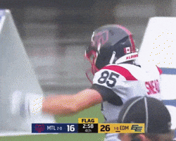 Montreal Celebrate GIF
