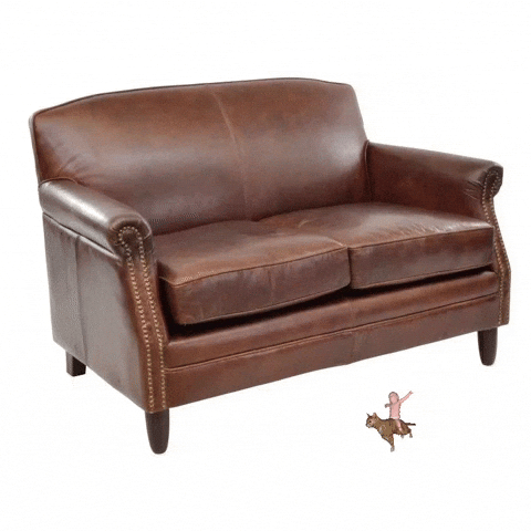 Tan Leather Sofa GIF