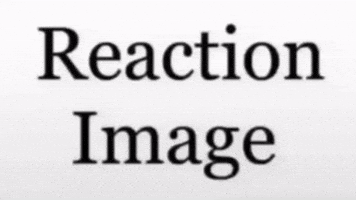 Reaction GIF