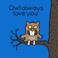 Owl-love GIFs - Get the best GIF on GIPHY