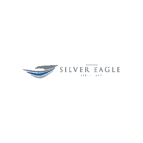 Silver Eagle Houston Sticker