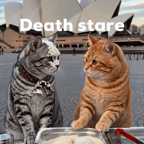Disappointed Messed Up GIF