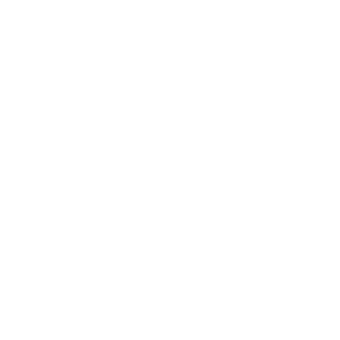 RiteChoice Dog Agility Sticker