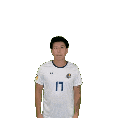 Clarke Mens Soccer Sticker by Clarke University