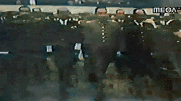 Chile GIF