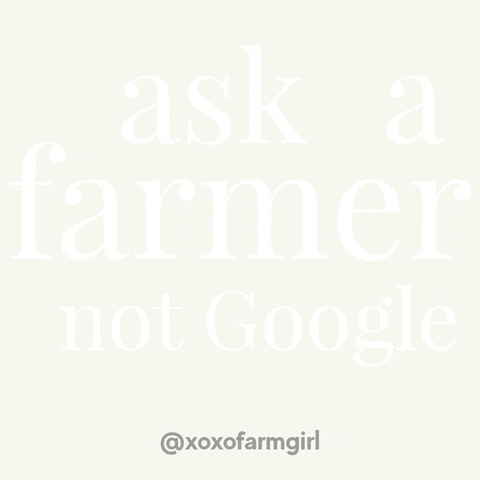 Ask A Farmer Not Google GIF by xoxofarmgirl